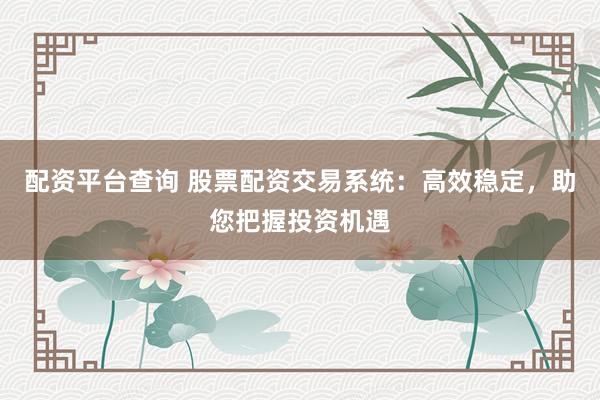 配资平台查询 股票配资交易系统：高效稳定，助您把握投资机遇