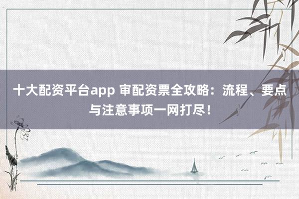 十大配资平台app 审配资票全攻略：流程、要点与注意事项一网打尽！