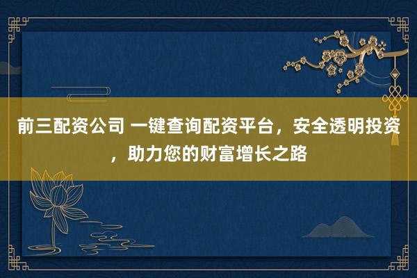 前三配资公司 一键查询配资平台，安全透明投资，助力您的财富增长之路