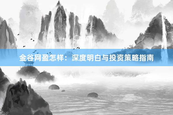 金谷网盈怎样：深度明白与投资策略指南