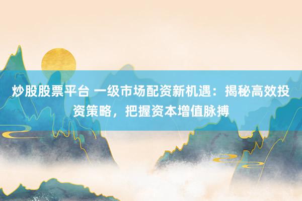 炒股股票平台 一级市场配资新机遇：揭秘高效投资策略，把握资本增值脉搏