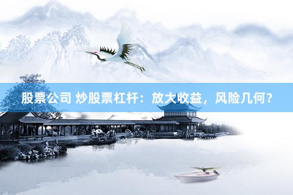 股票公司 炒股票杠杆：放大收益，风险几何？